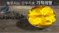 탐나라공화국